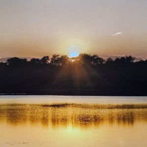 Meet your Posher, Sandy